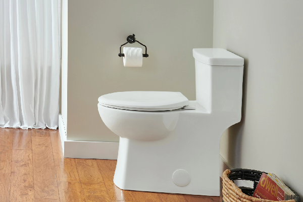 بهبود حیات شما با توالت فرنگی: استانداردی با قیمت دوستدار مشتری