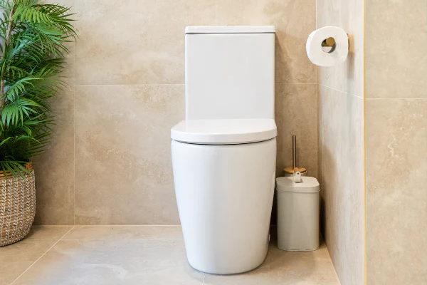 جذب مشتریان با تخفیفات استثنایی: توالت فرنگی استاندارد با بهترین قیمت